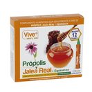 VIVE+ SALUDYVIDA propolis y jalea real + equinacea caja 12 viales 